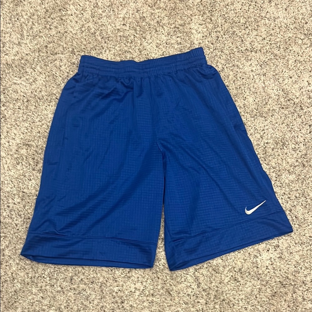 Nike Royal Blue Sports Shorts Men’s Medium